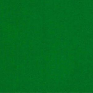 Meet your Posher, Amelie